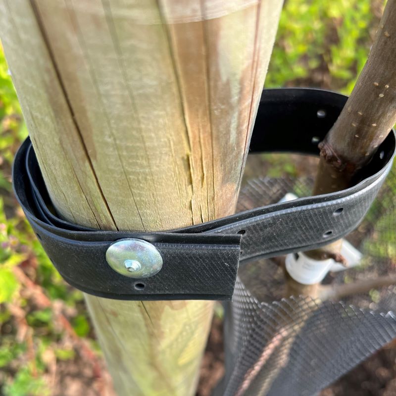 Boomband 3,8x60cm (2 st.) hobio