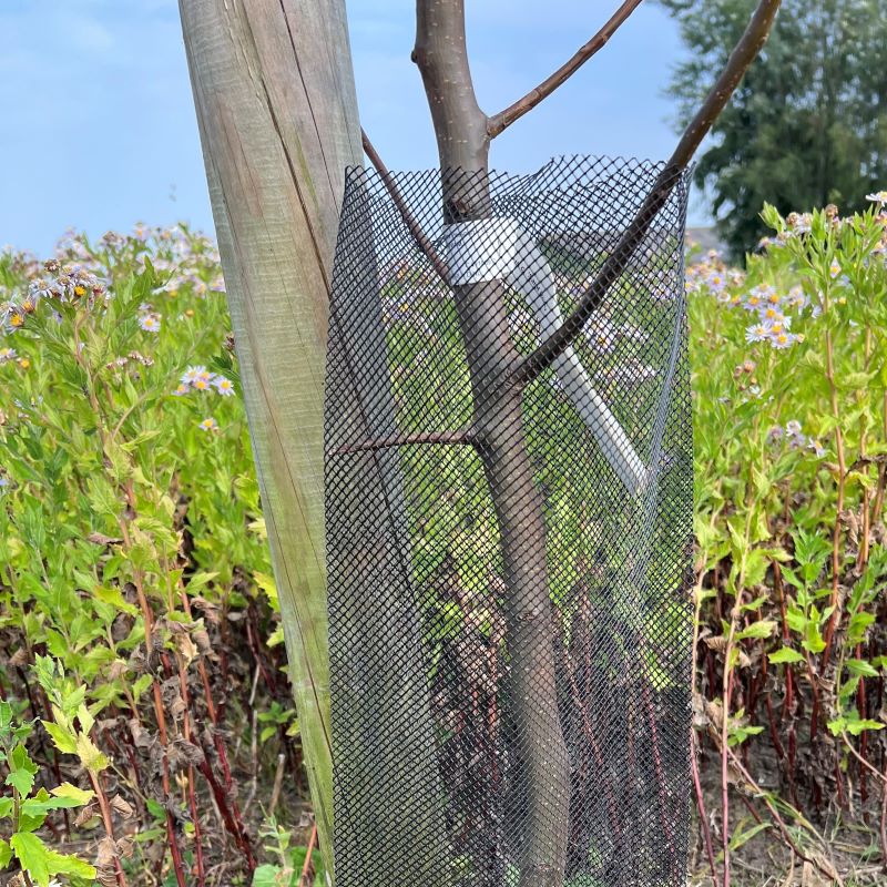 BIO Boomstambeschermer Hobio