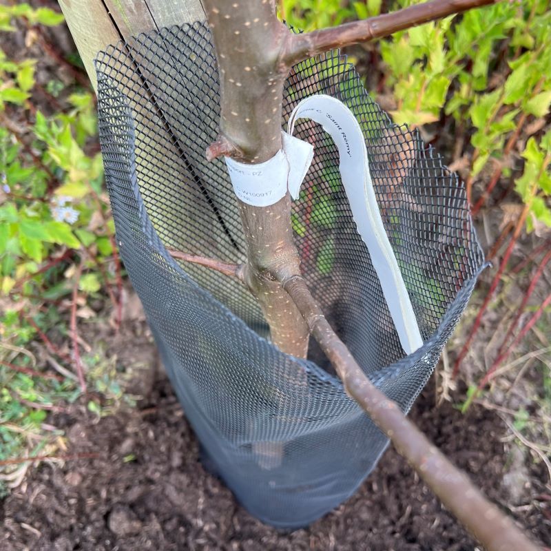BIO Boomstambeschermer Hobio
