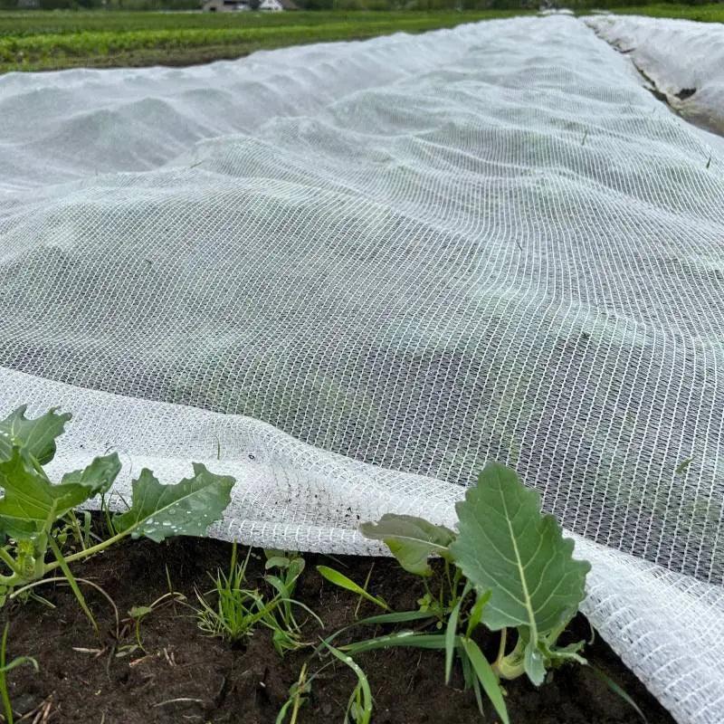 Klimaatnet Hobio