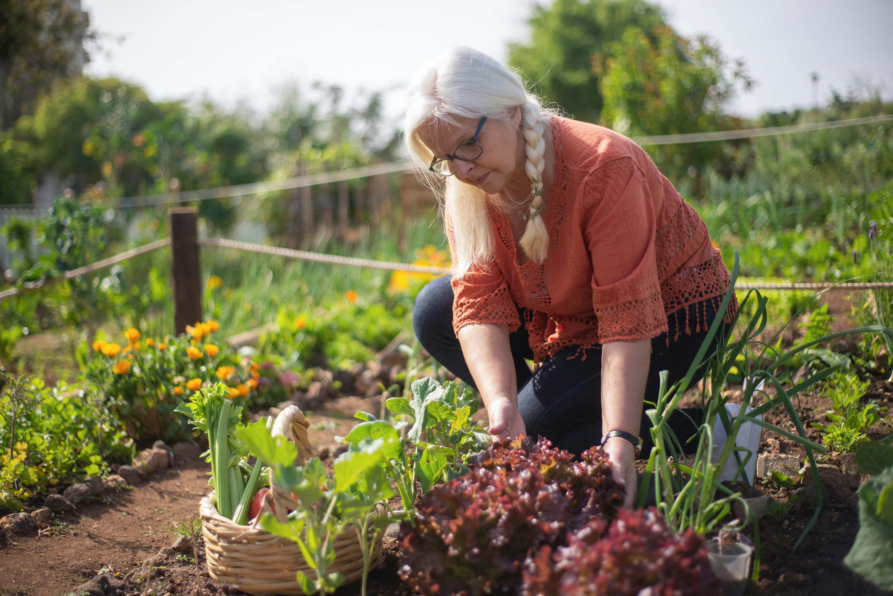 vrouw bezig in moestuin