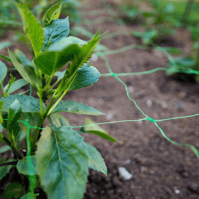 Steunnet 2x10 meter Hobio