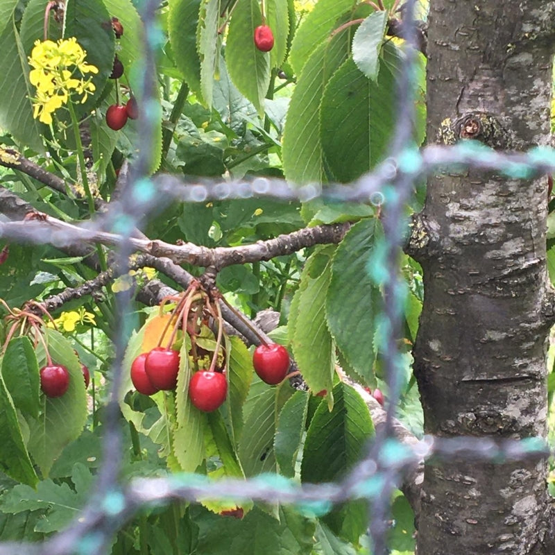 Tuinnet robuust Hobio