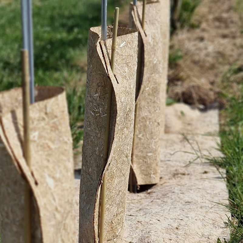 close-up van boomstambeschermer met bamboestok erin