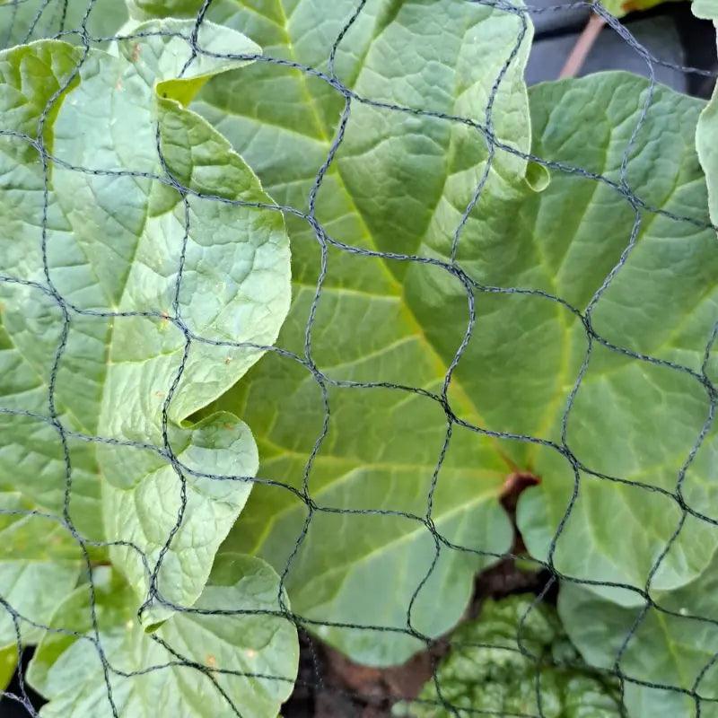 Tuinnet hobio