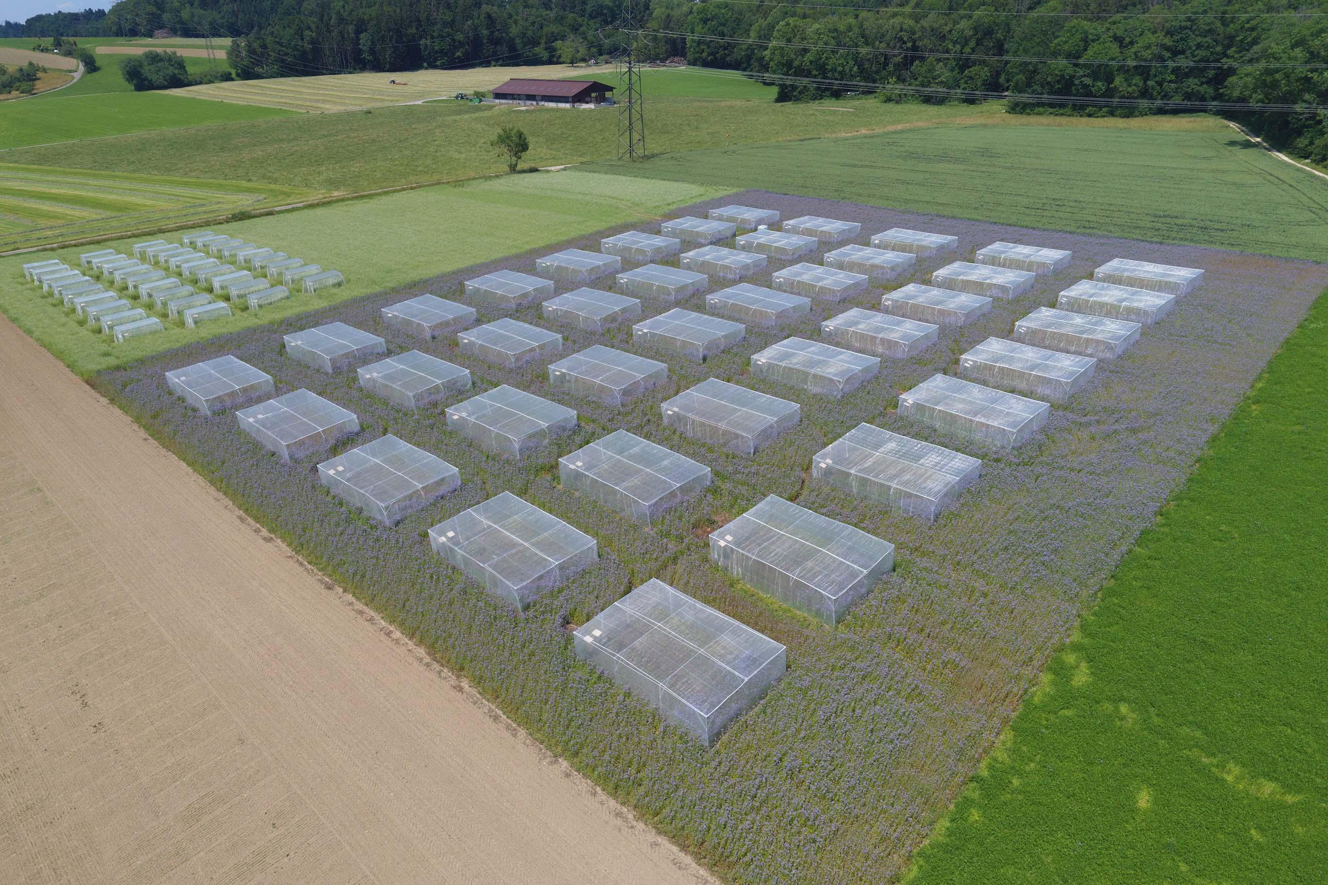 Groentekooi-in-de-moestuin-klein-handig-en-super-effectief Hobio