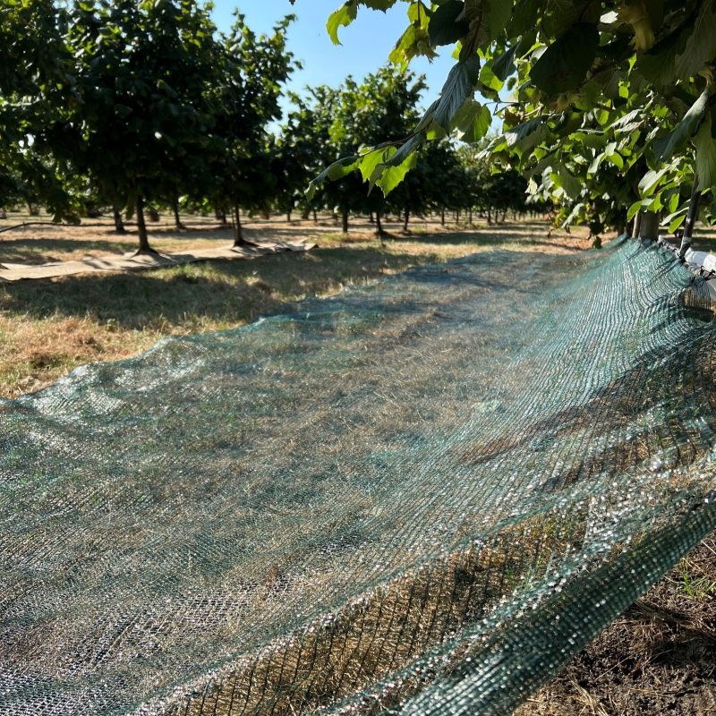 Schaduwnet groen